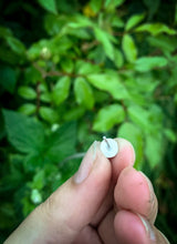 Load image into Gallery viewer, Sterling silver studs
