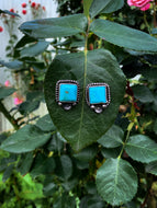 Chunky Sonoran Cushion Earrings