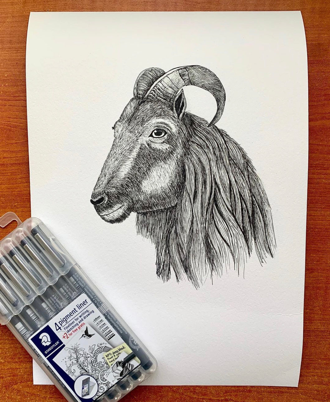 Tahr