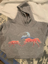 Load image into Gallery viewer, Breakaway hoodie - PRE ORDER
